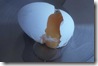 egg-broken-98g